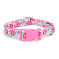 durable basic nylon dog collar