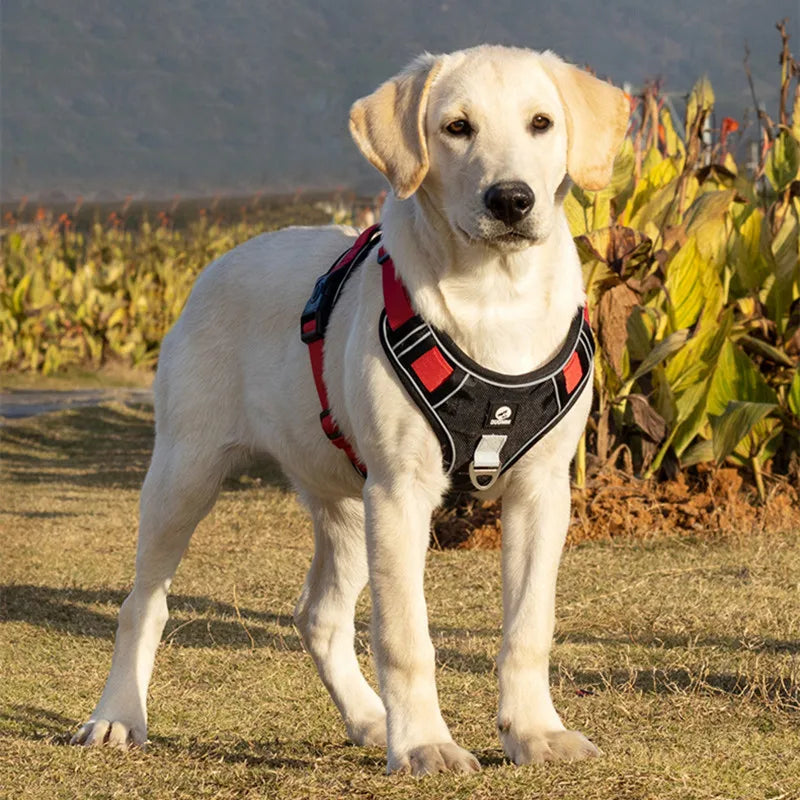 Adjustable Reflective Dog Harness