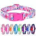 durable basic nylon dog collar