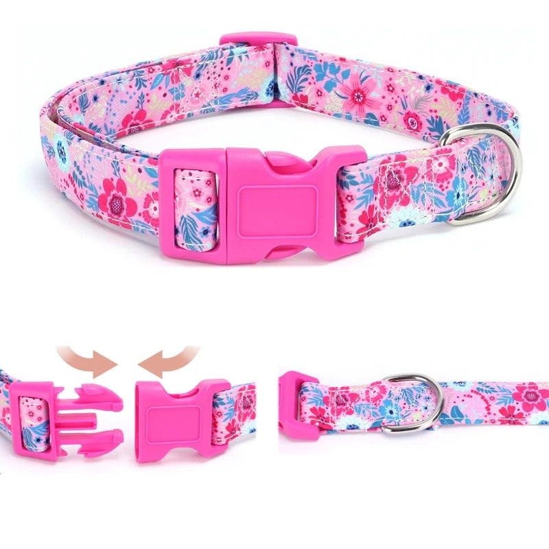 durable basic nylon dog collar