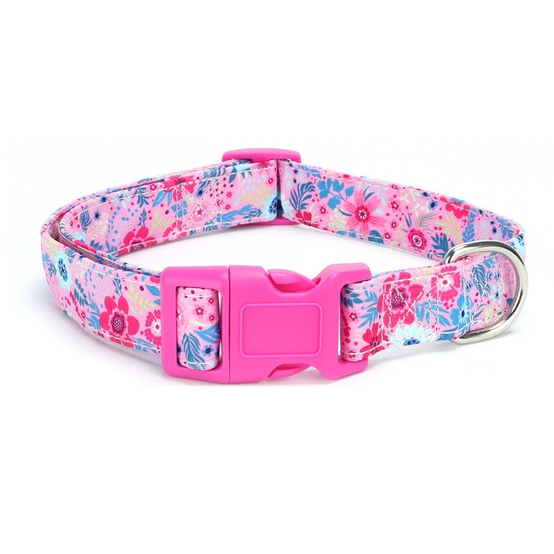 durable basic nylon dog collar