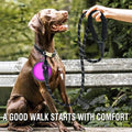 Reflective Strong Dog Leash