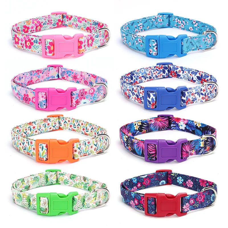 durable basic nylon dog collar